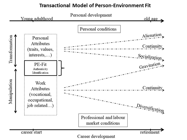 visual representation of transactional model of PE fit