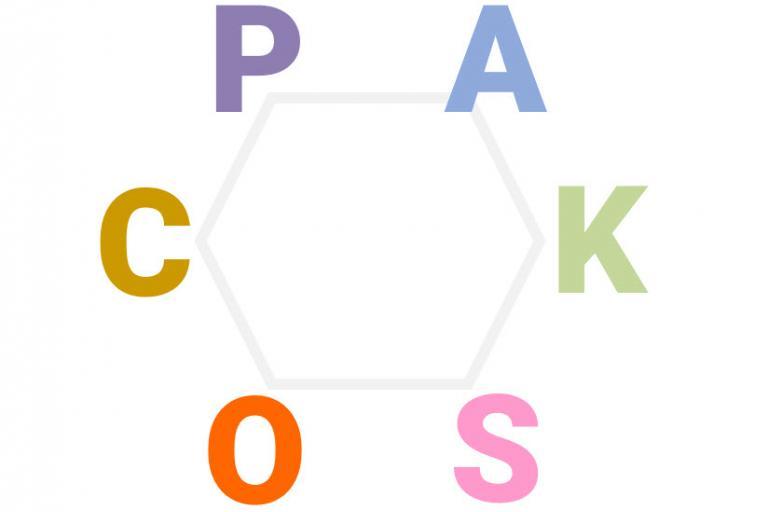 Het hexagonale model: een zeshoek met op de hoekpunten de letters P,A,K,S,O en C.
