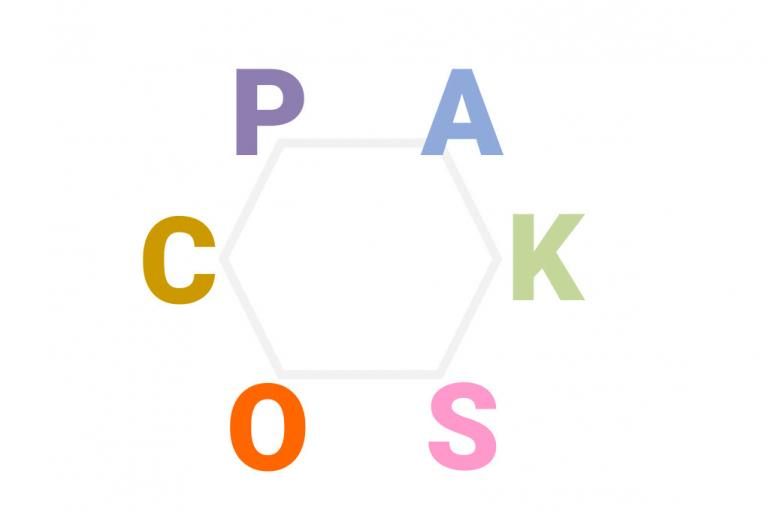 het zeshoekige model van John Holland met de zes PAKSOC letters in vrolijke kleuren