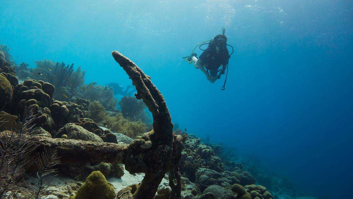 anchor on sea bed with diver in background